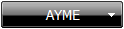          AYME      